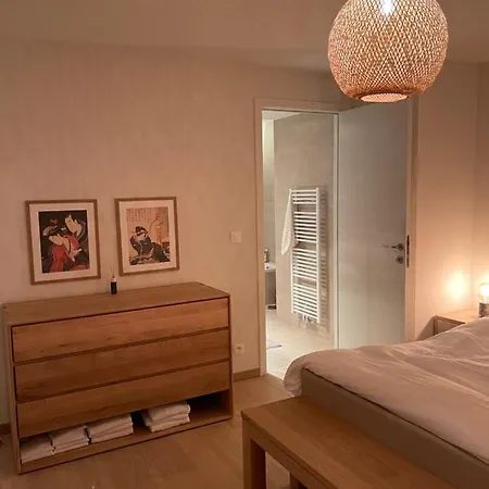 Renewed Comfort Duplex W 2 Terraces Nearby Marina Nieuwpoort